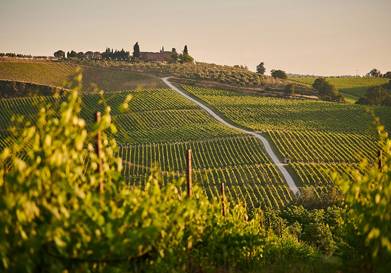 Denna whisky har fått en finish i fat som tidigare lagrat Sangiovese-vin från Valdarno di Sopra i Toscana.