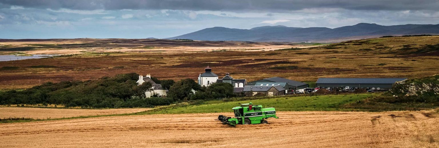 Barley-to-Bottle: På Rockside Farm görs whisky från ax till flaska. På ägorna samsas bördiga sädesfält bågnande av korn med torvmossar bortåt Loch Gorm.