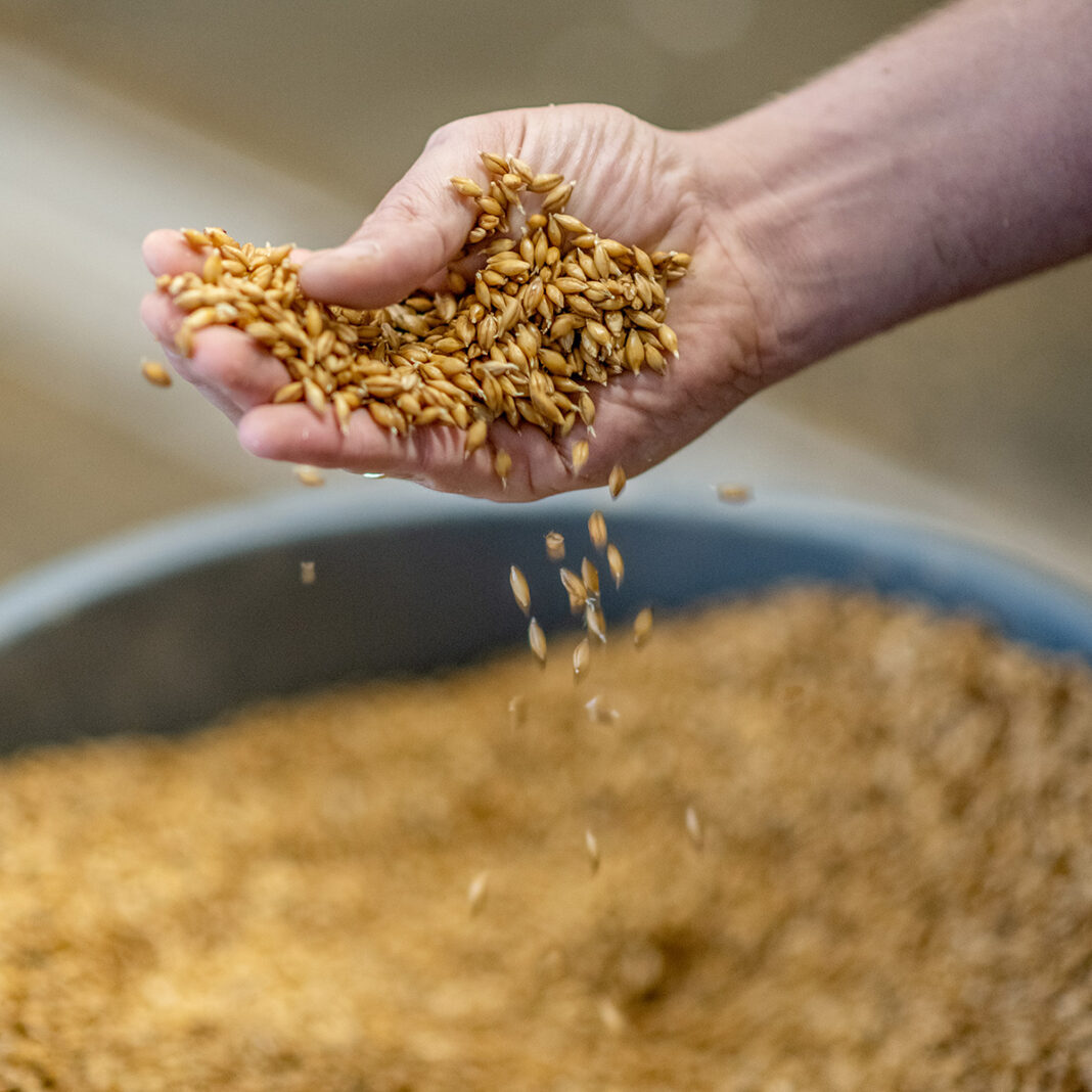 Varje skörd har sin egen personlighet, beroende på vilket utsäde man valt, efter noggrant övervägande.